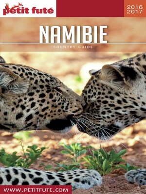 cover image of NAMIBIE 2016/2017 Petit Futé